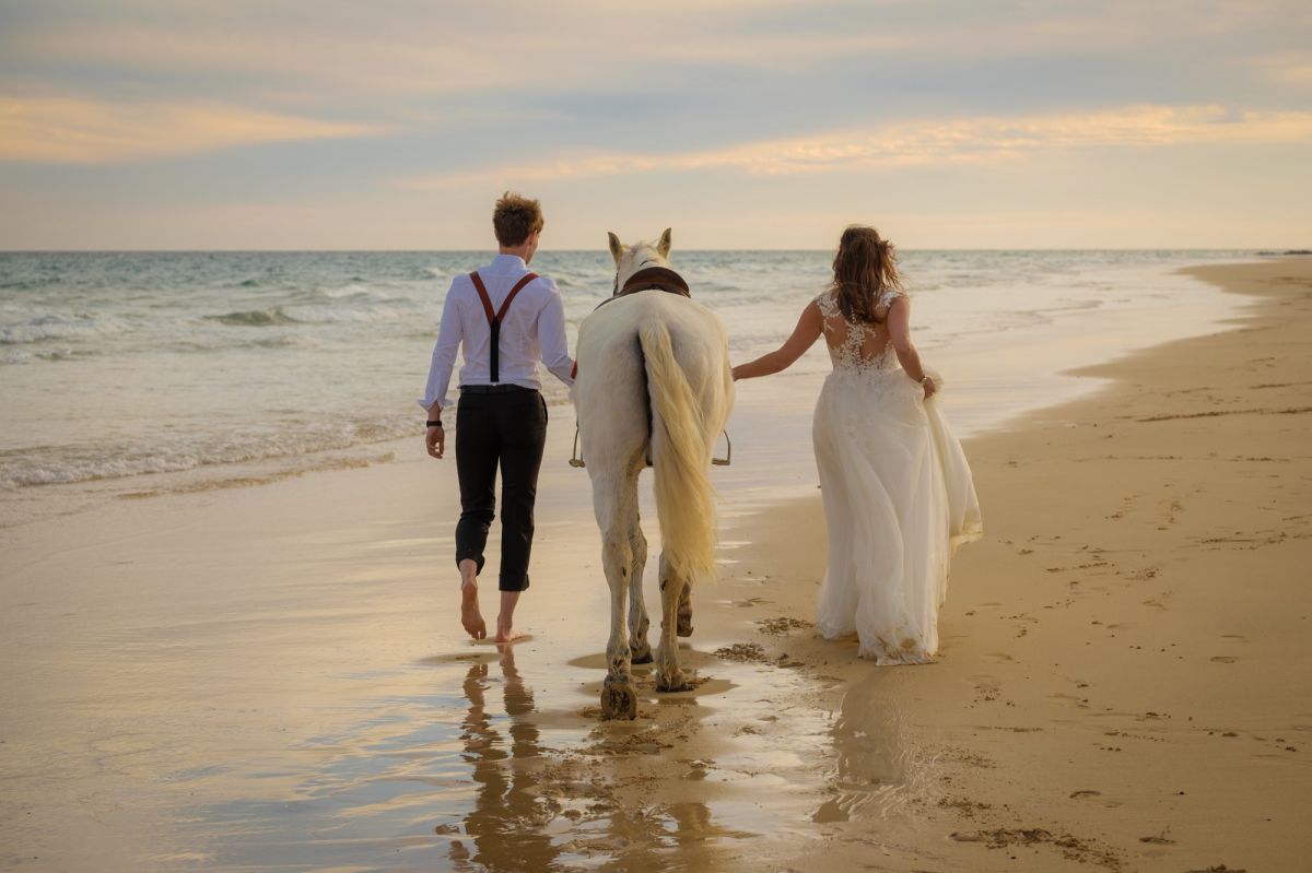 Fotoshooting mit Pferd Fuerteventura